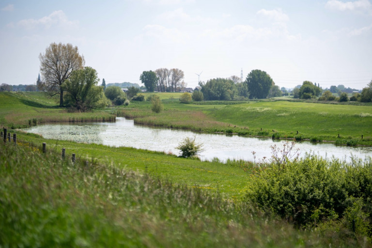 Südkreistreffen von Bündnis 90/DIE GRÜNEN: Wie soll die Wasserpolitik im Kreis Kleve auf die Klimakrise reagieren?